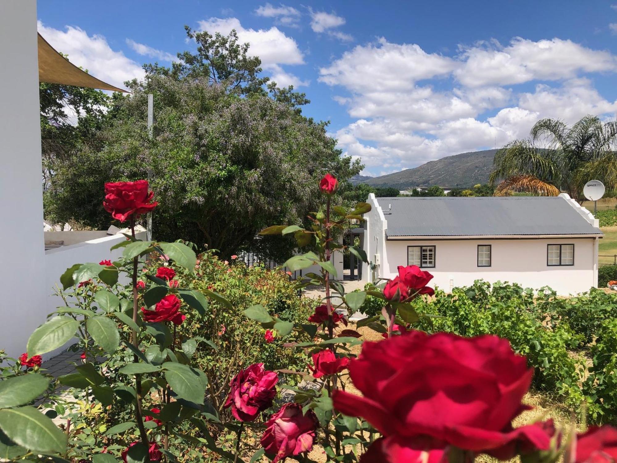 Tempel Wines Paarl Exterior foto