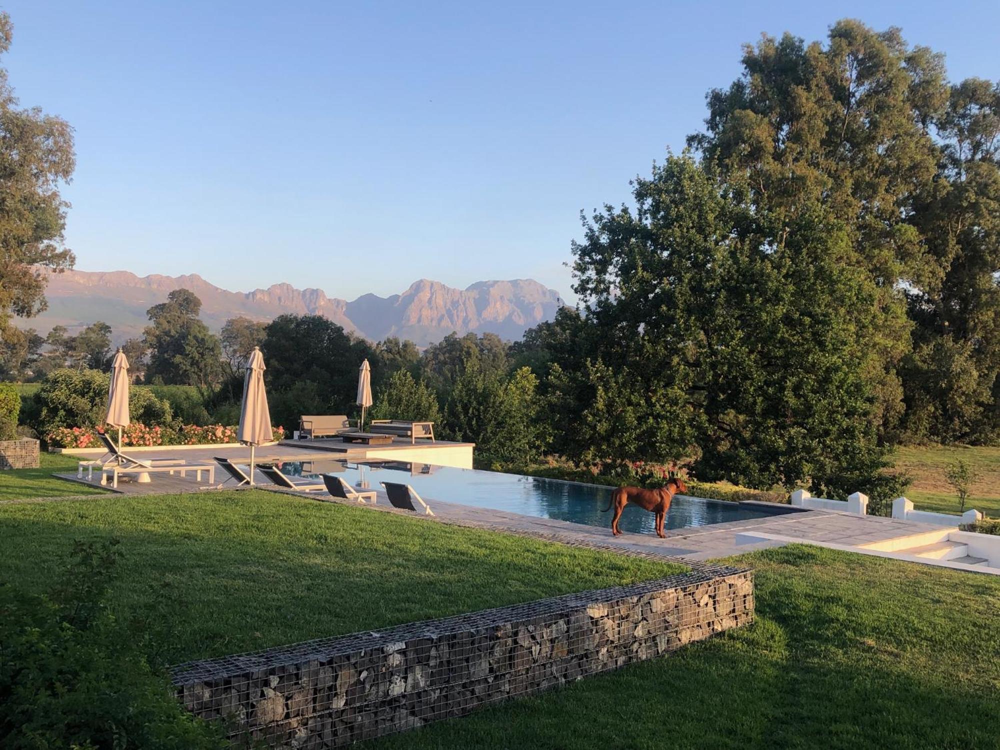 Tempel Wines Paarl Exterior foto