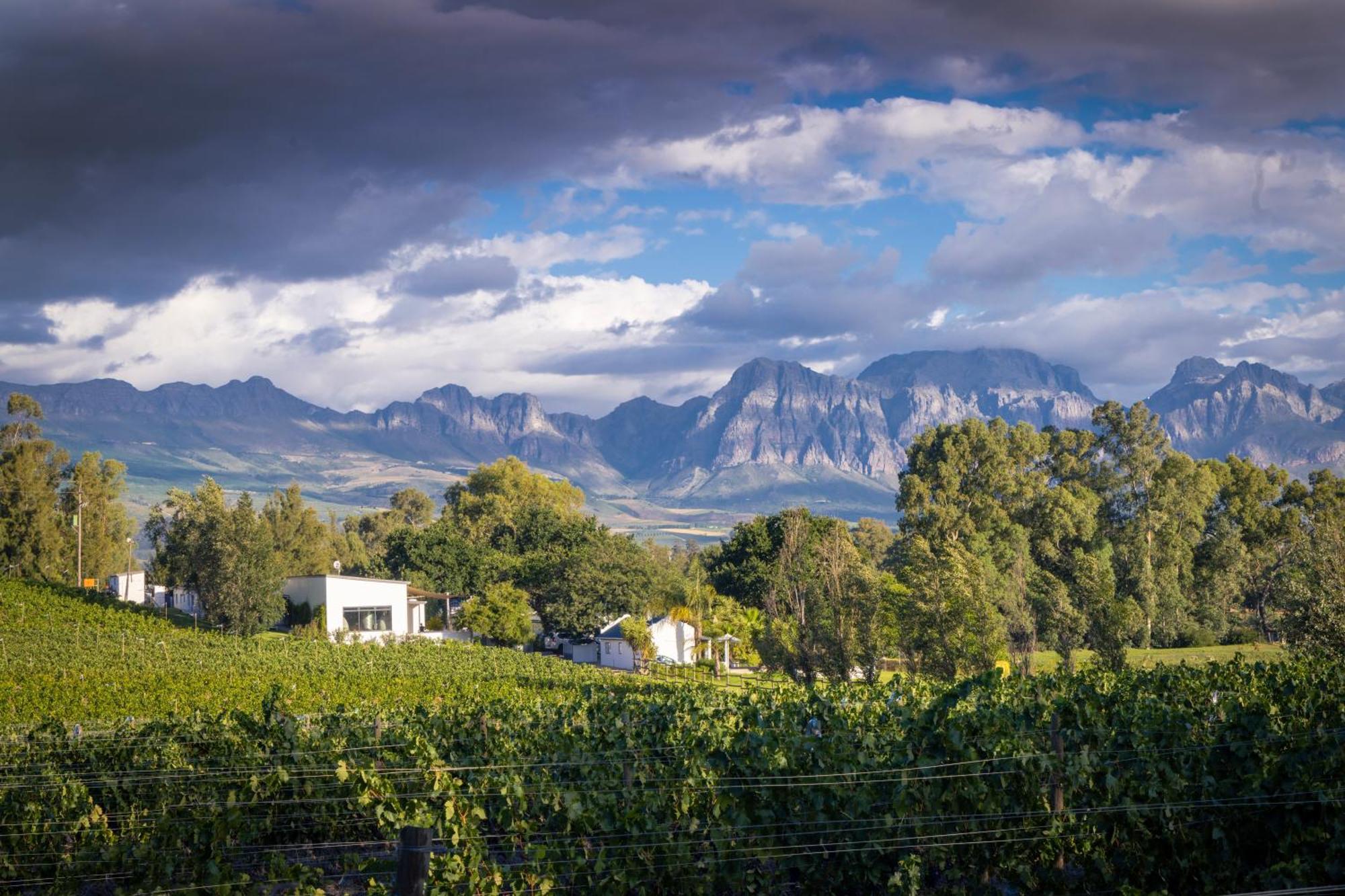 Tempel Wines Paarl Exterior foto