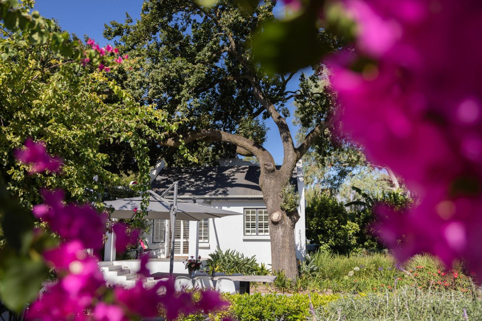 Tempel Wines Paarl Exterior foto
